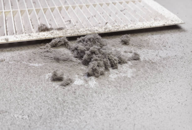 Best Air Quality Test  in Chippewa Falls, WI